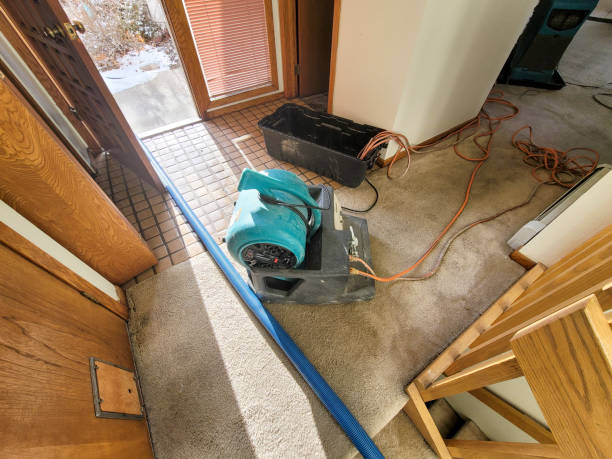 Best Water damage contractors near me  in Lonville, GA