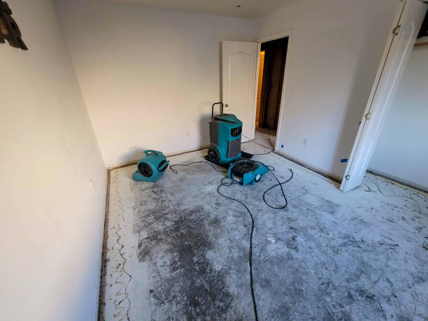 Best Professional water damage repair  in Lonville, GA