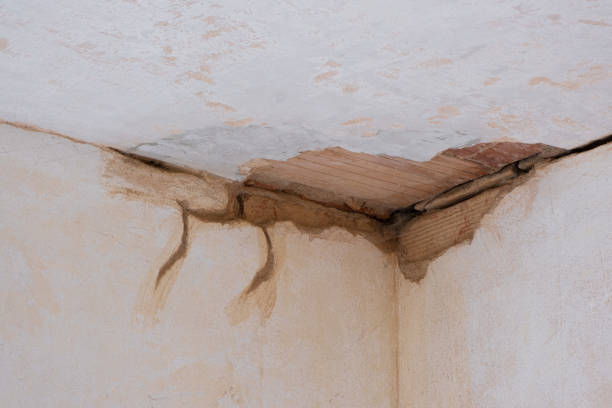 Best Flooded house restoration  in Lonville, GA