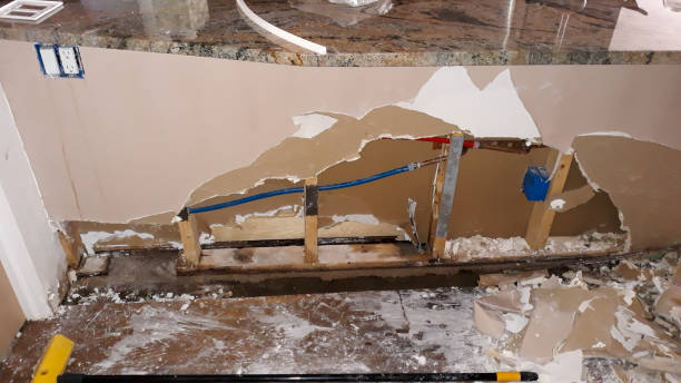 Best Flood restoration services  in Lonville, GA