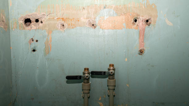 Best Sewage cleanup and water damage restoration  in Lonville, GA