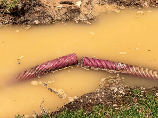 Best Water damage restoration near me  in Lonville, GA