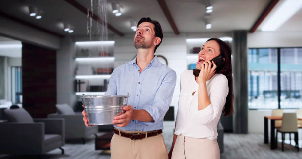 Best Local water damage restoration  in Lonville, GA