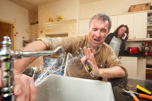 Best Mold removal after water damage  in Lonville, GA